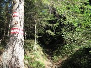 P9060010.JPG