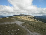 P9060032.JPG