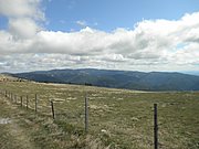 P9060039.JPG