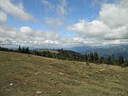 P9060042.JPG