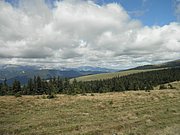 P9060043.JPG