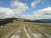 P9060044.JPG