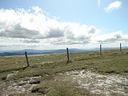 P9060046.JPG