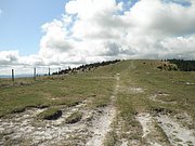 P9060047.JPG