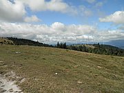 P9060048.JPG