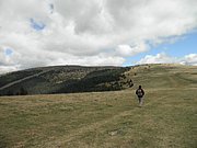 P9060054.JPG