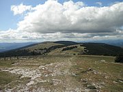 P9060055.JPG