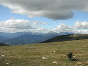 P9060078.JPG