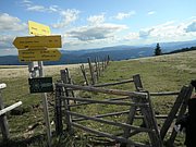 P9060079.JPG