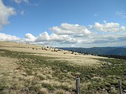 P9060080.JPG