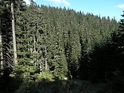 P9060083.JPG