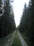 P9060089.JPG