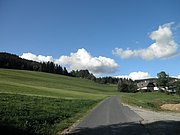 P9060096.JPG