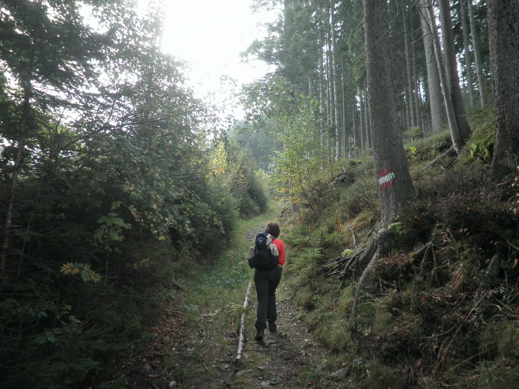 P9230007.JPG