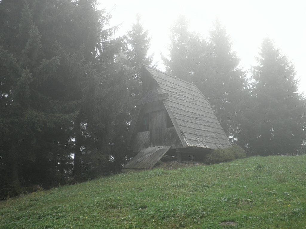 P9230008.JPG