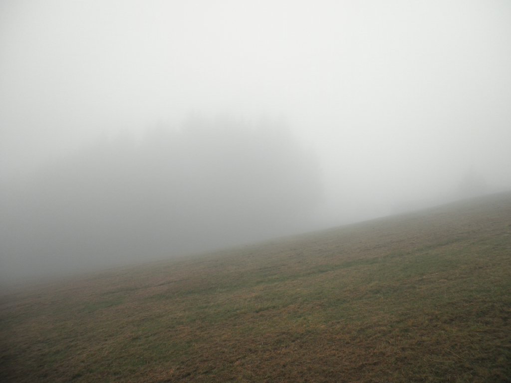 P9230011.JPG