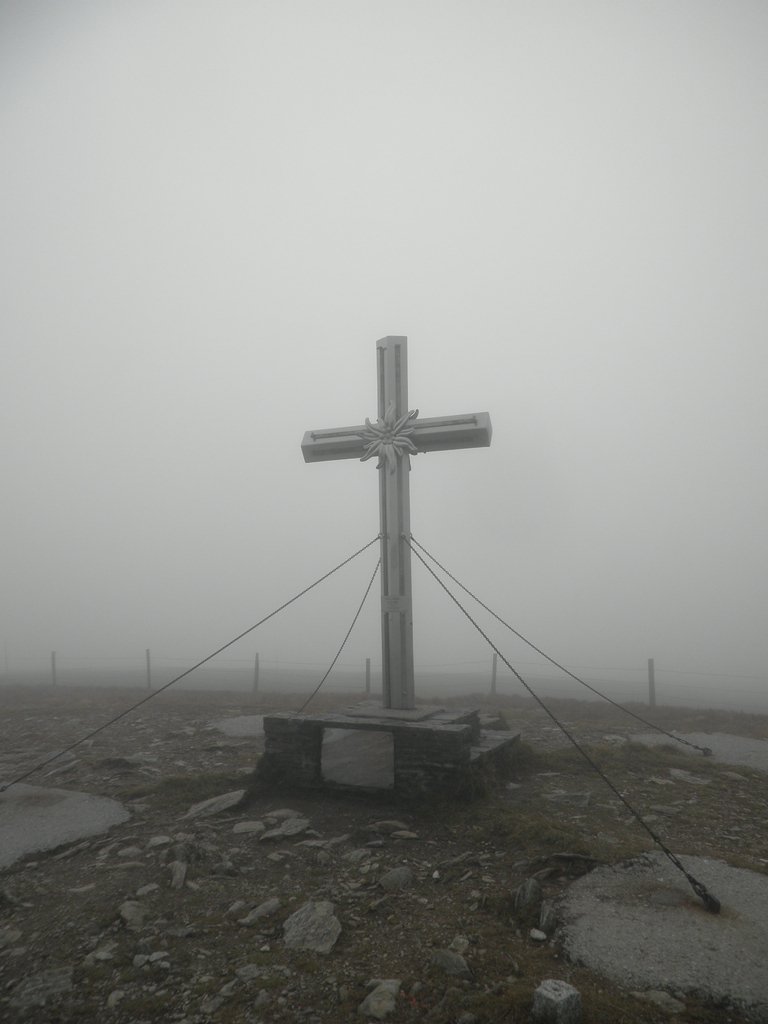 P9230023.JPG