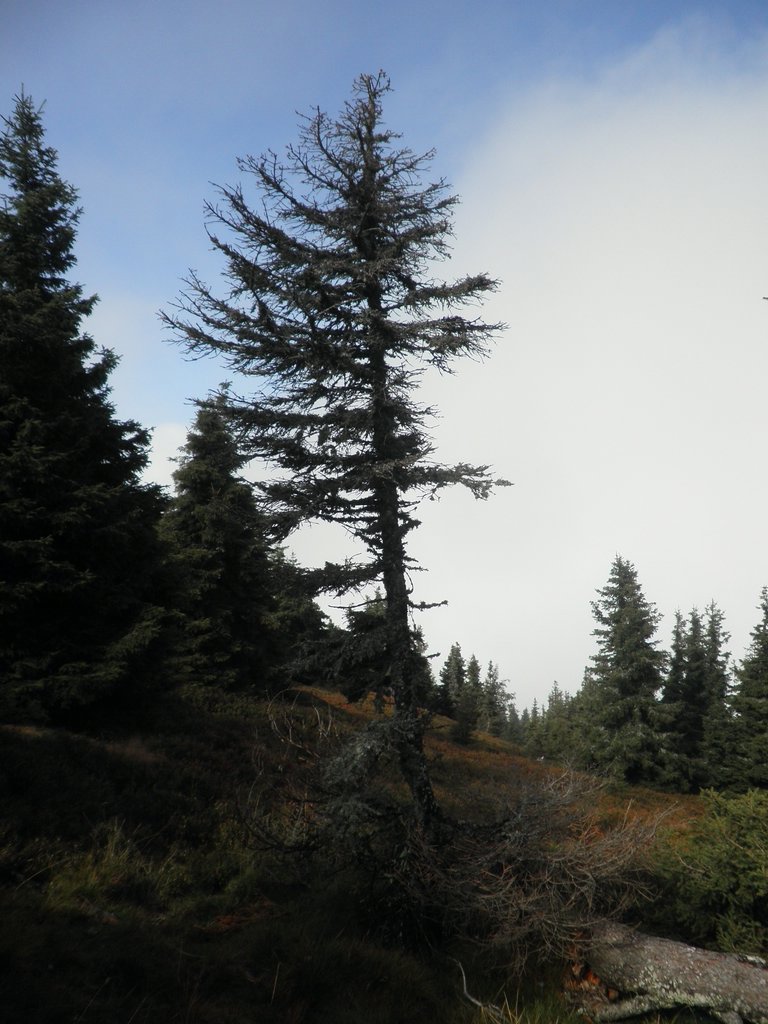 P9230032.JPG