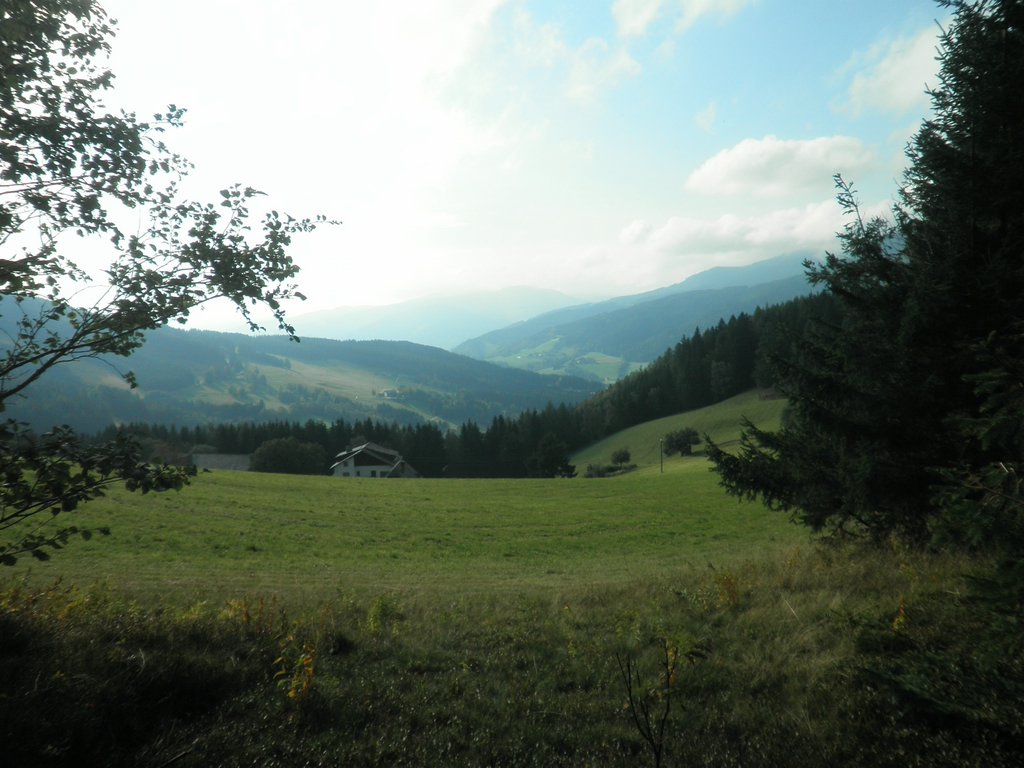 P9230050.JPG