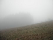 P9230011.JPG