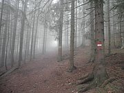 P9230012.JPG