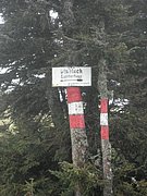 P9230022.JPG