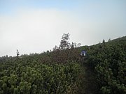 P9230031.JPG