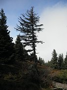 P9230032.JPG