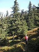 P9230033.JPG