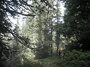 P9230034.JPG