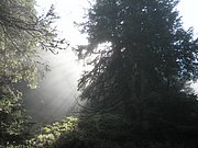 P9230035.JPG