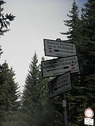 P9230042.JPG