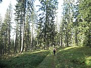 P9230047.JPG