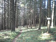 P9230049.JPG