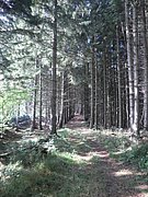 P9230051.JPG