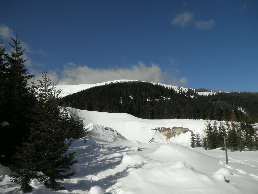 P2210007.JPG