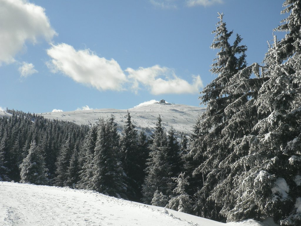 P2210015.JPG