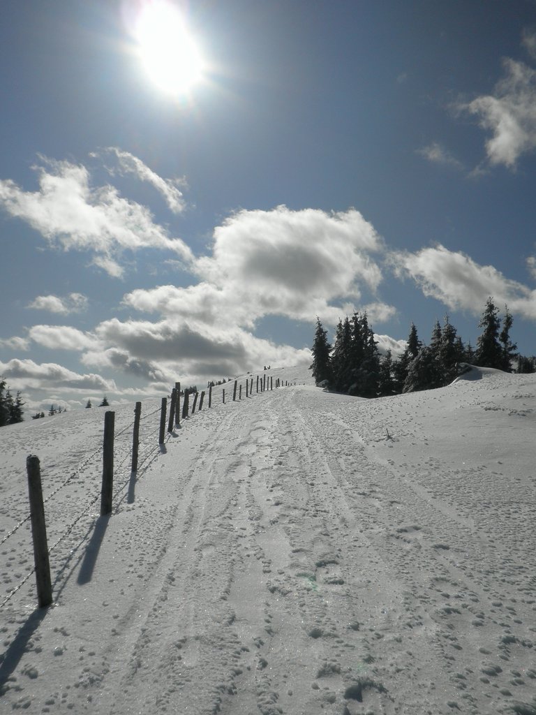 P2210016.JPG