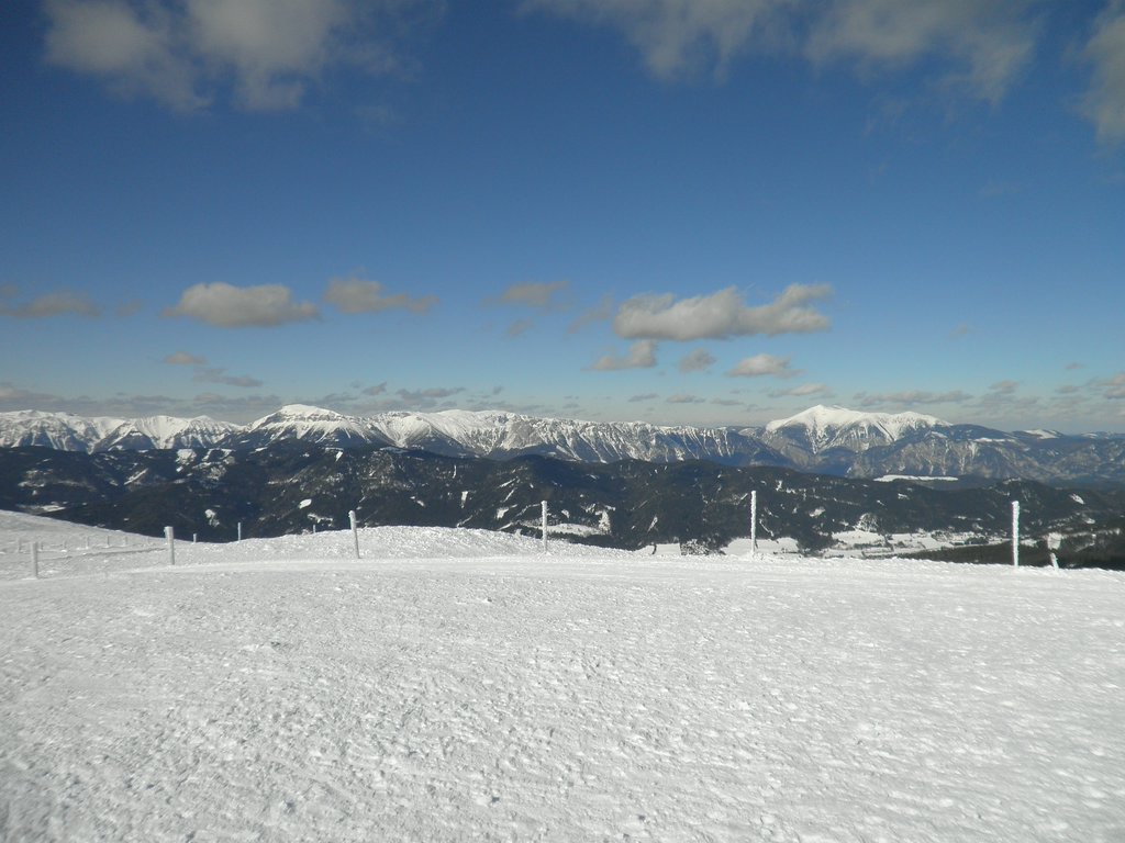 P2210030.JPG
