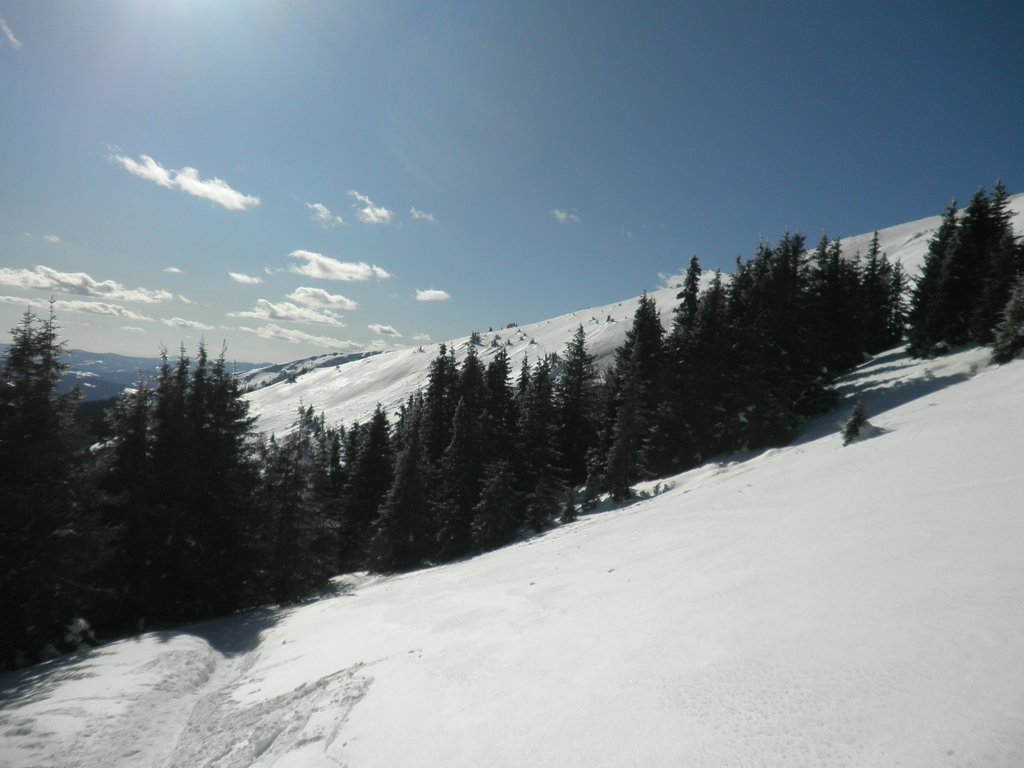 P2210039.JPG