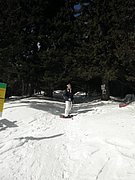 P2210004.JPG