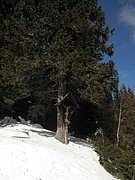 P2210005.JPG