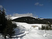 P2210007.JPG