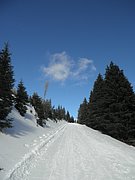 P2210009.JPG