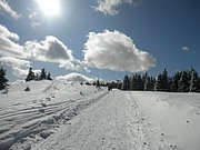 P2210012.JPG
