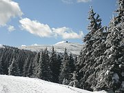 P2210015.JPG