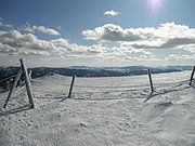 P2210017.JPG