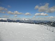 P2210018.JPG