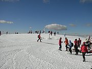 P2210027.JPG