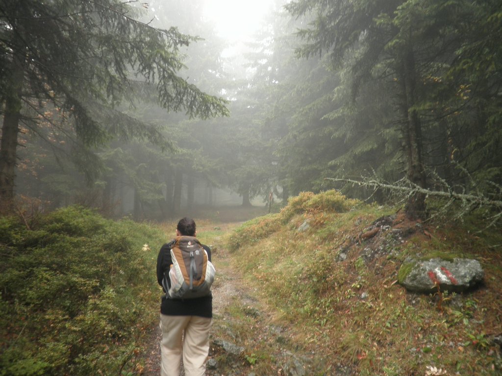 PA030103.JPG